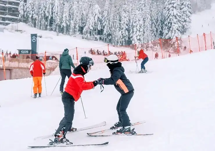 Yetişkinler İçin Eğitimler